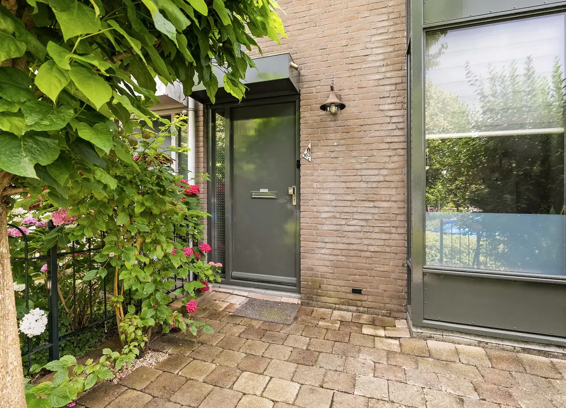 Torenmolen 163