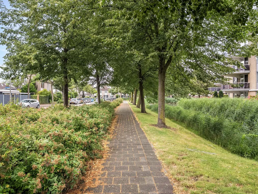 Torenmolen 163, BARENDRECHT