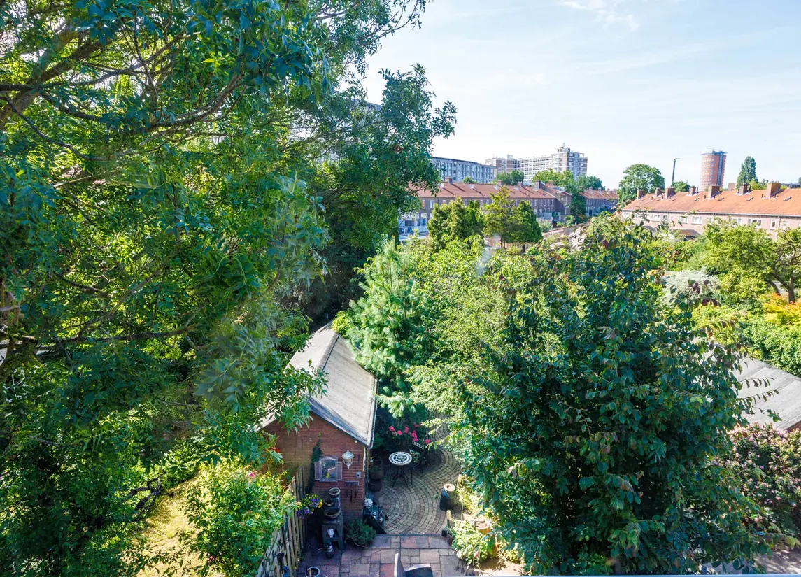 Tomatenstraat 49