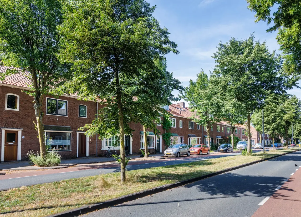 Tomatenstraat 49