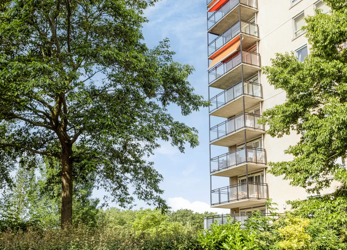 Coebelweg 41