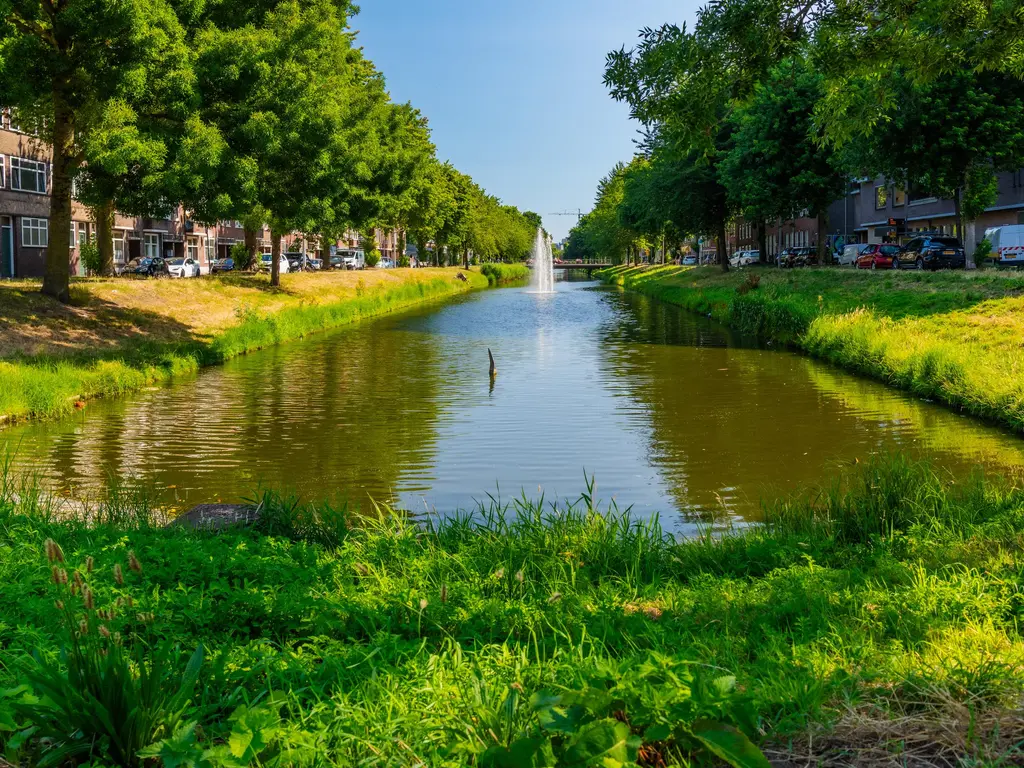Lange Hilleweg 372, ROTTERDAM