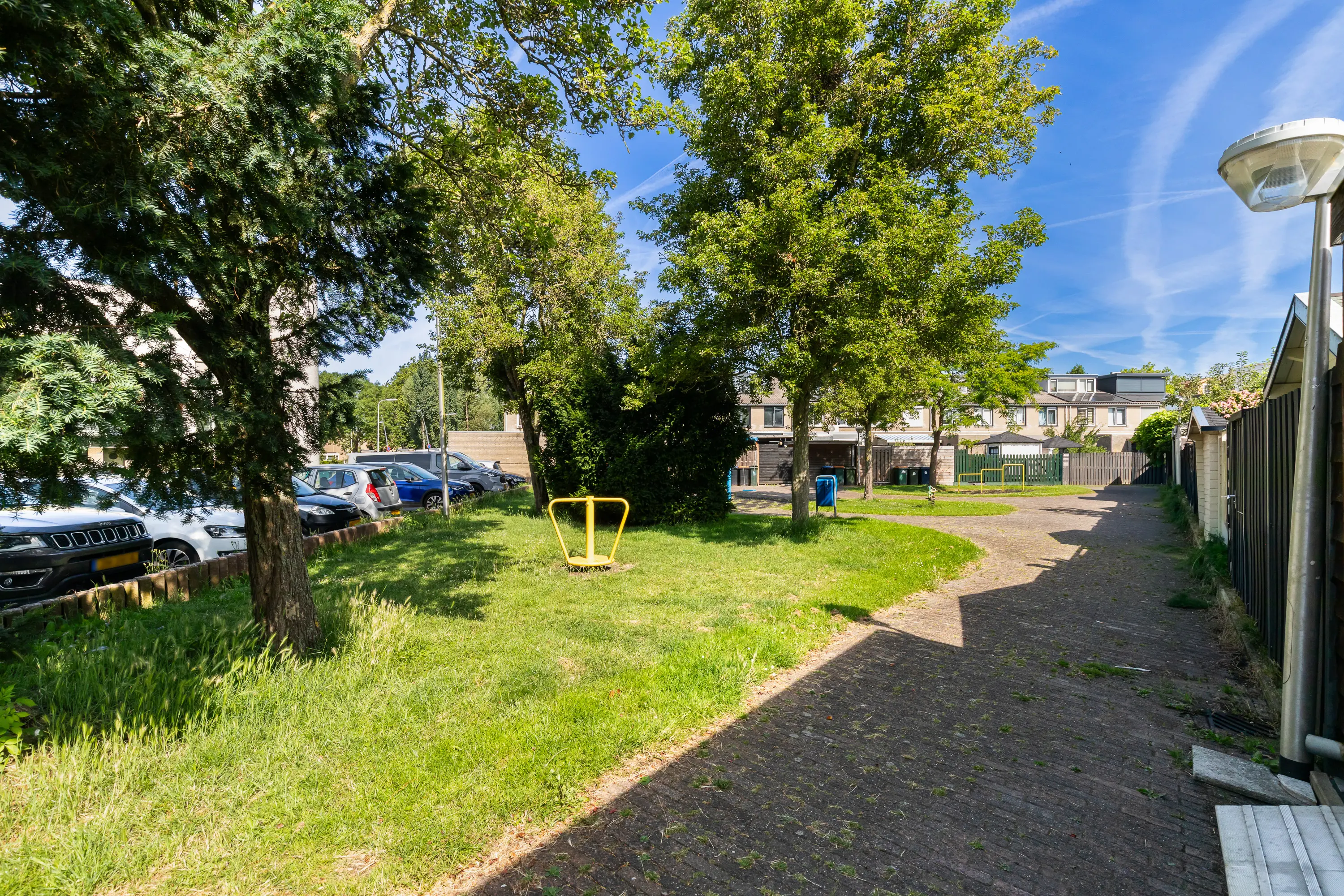 Vingerhoedskruid 5