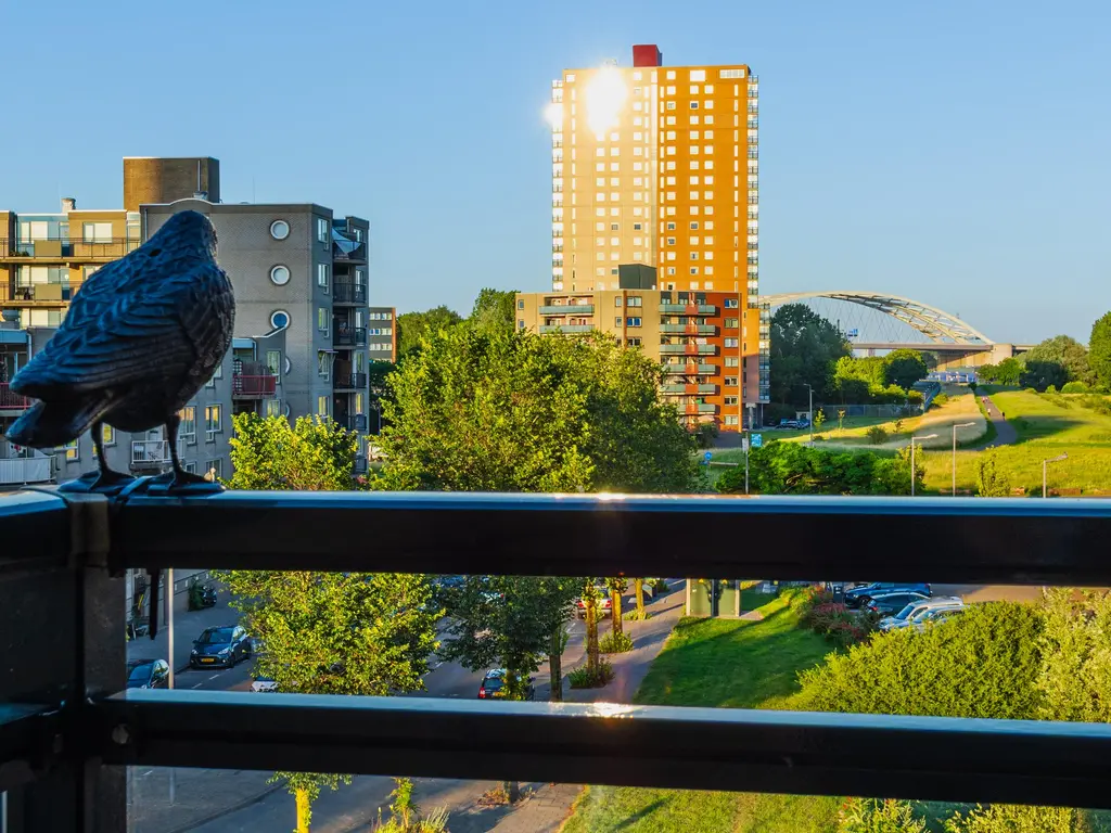 Buitenbassinweg 825, ROTTERDAM