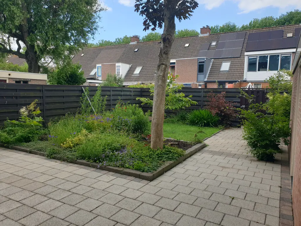 Steker 14, ENKHUIZEN