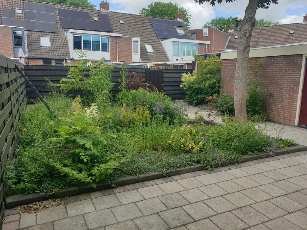 Steker 14, ENKHUIZEN