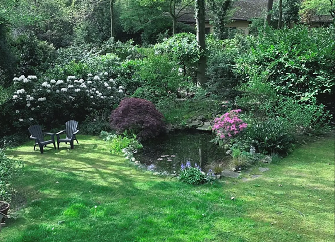 De Stille Wille 55