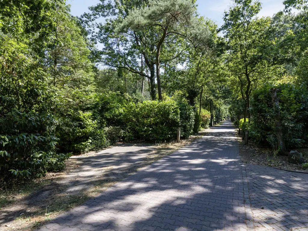 De Stille Wille 55, OOST WEST EN MIDDELBEERS