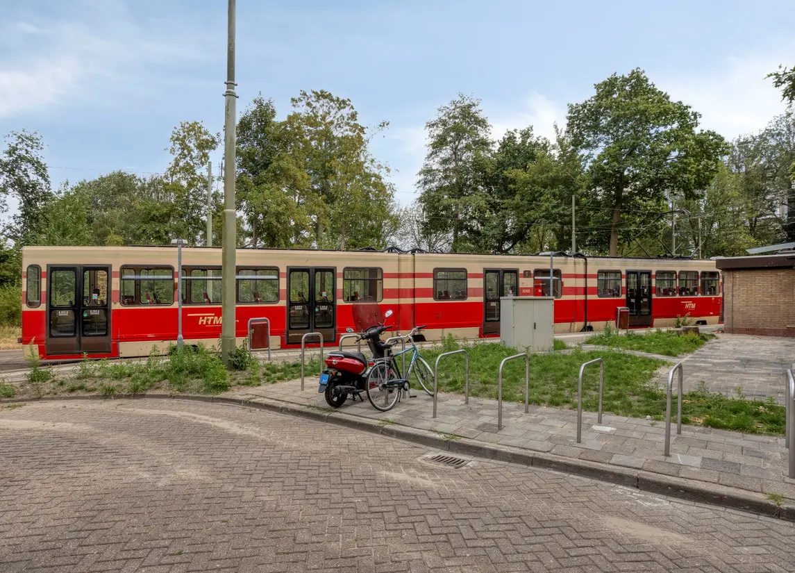 De Haar 162