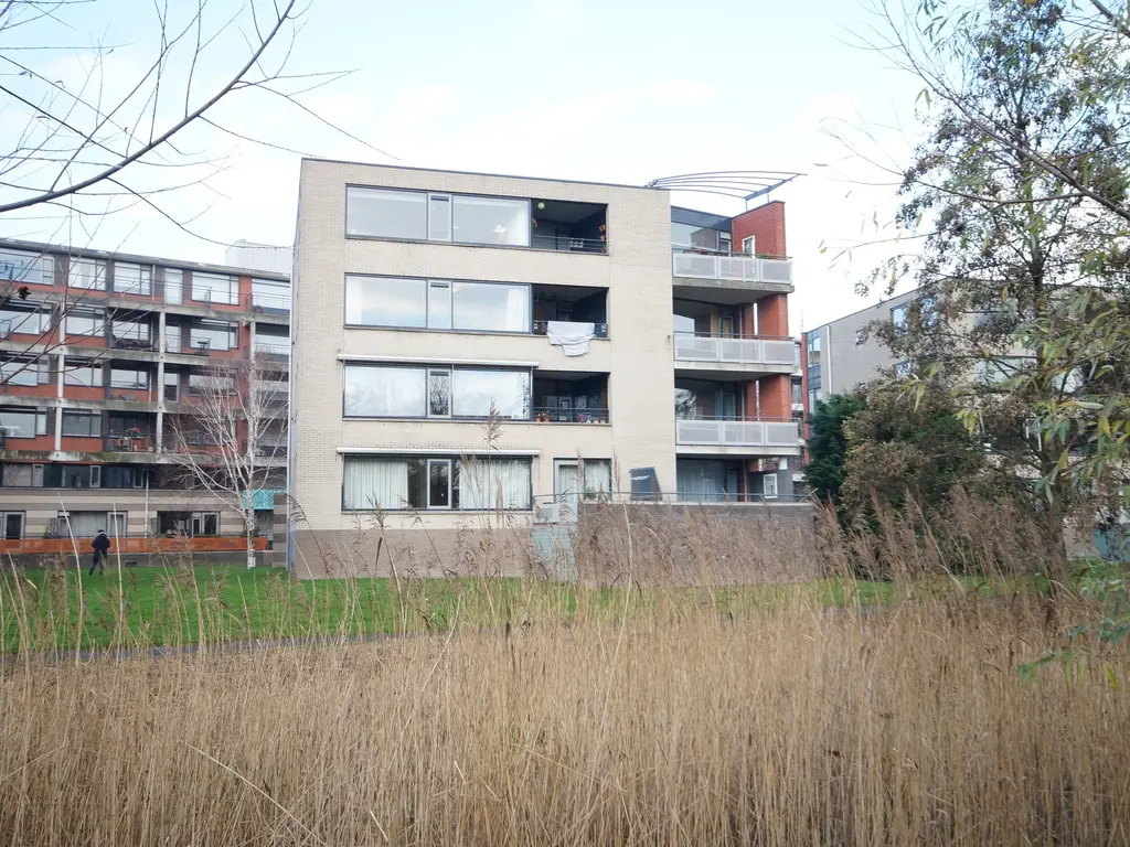 Virulypad 59, Leiden