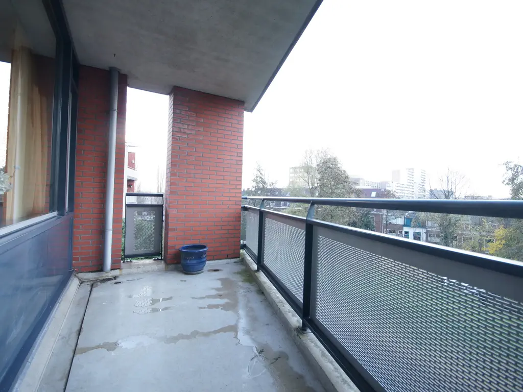 Virulypad 59, Leiden