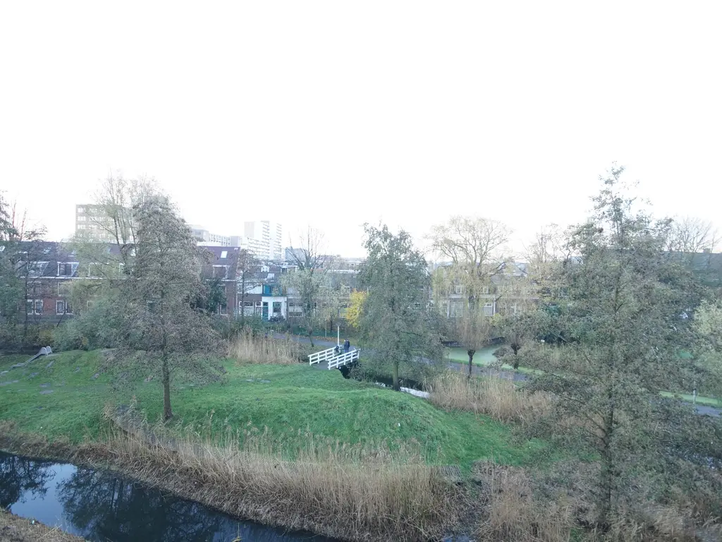 Virulypad 59, Leiden