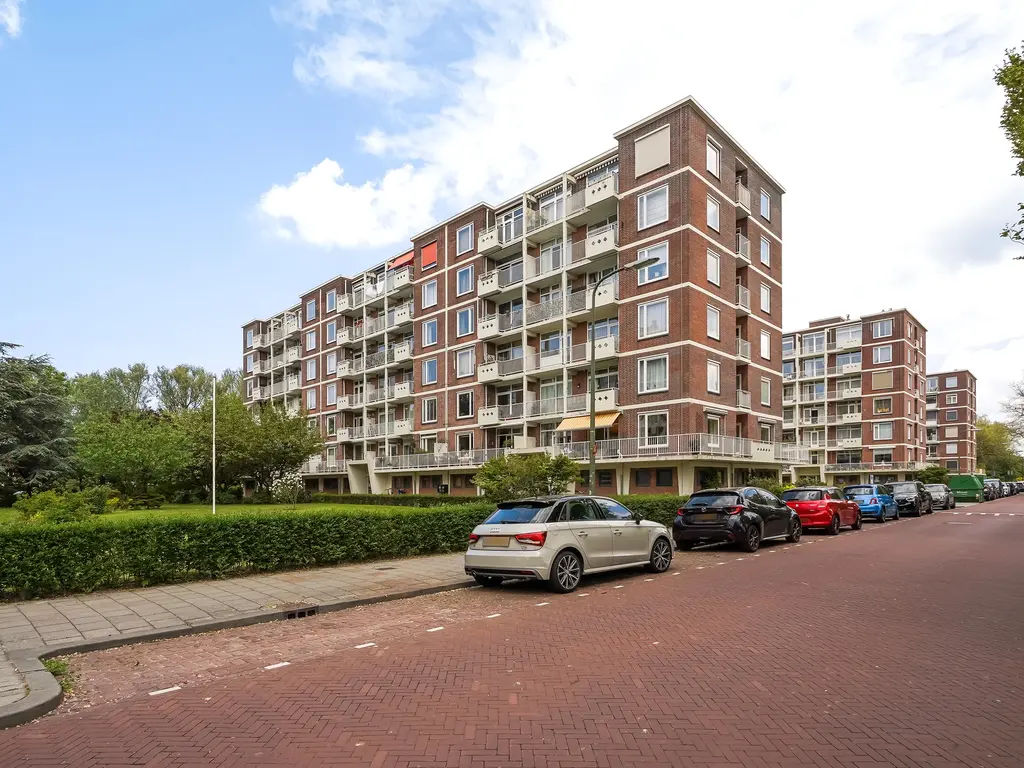 Ranonkelstraat 267, Den Haag