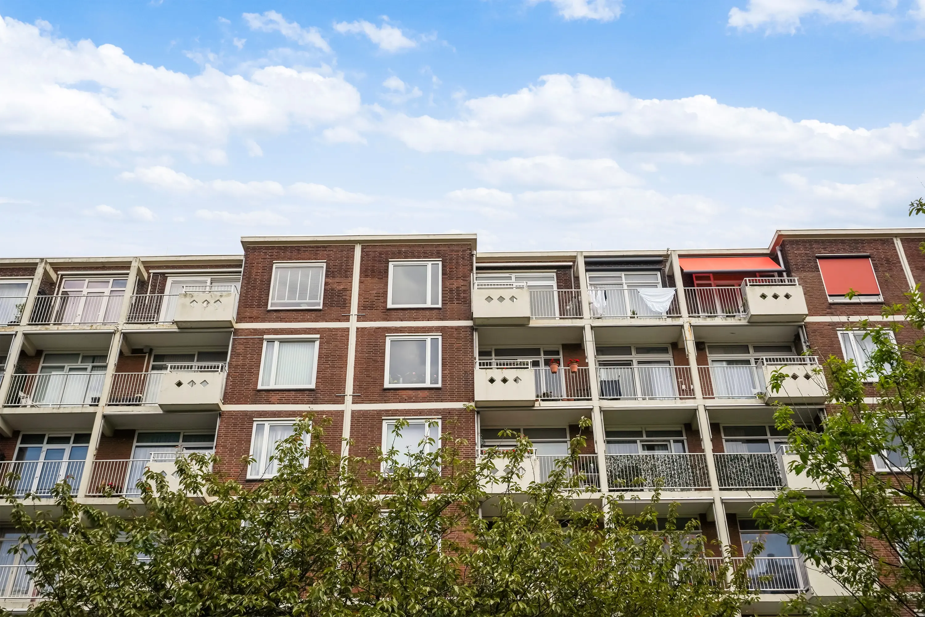 Ranonkelstraat 267