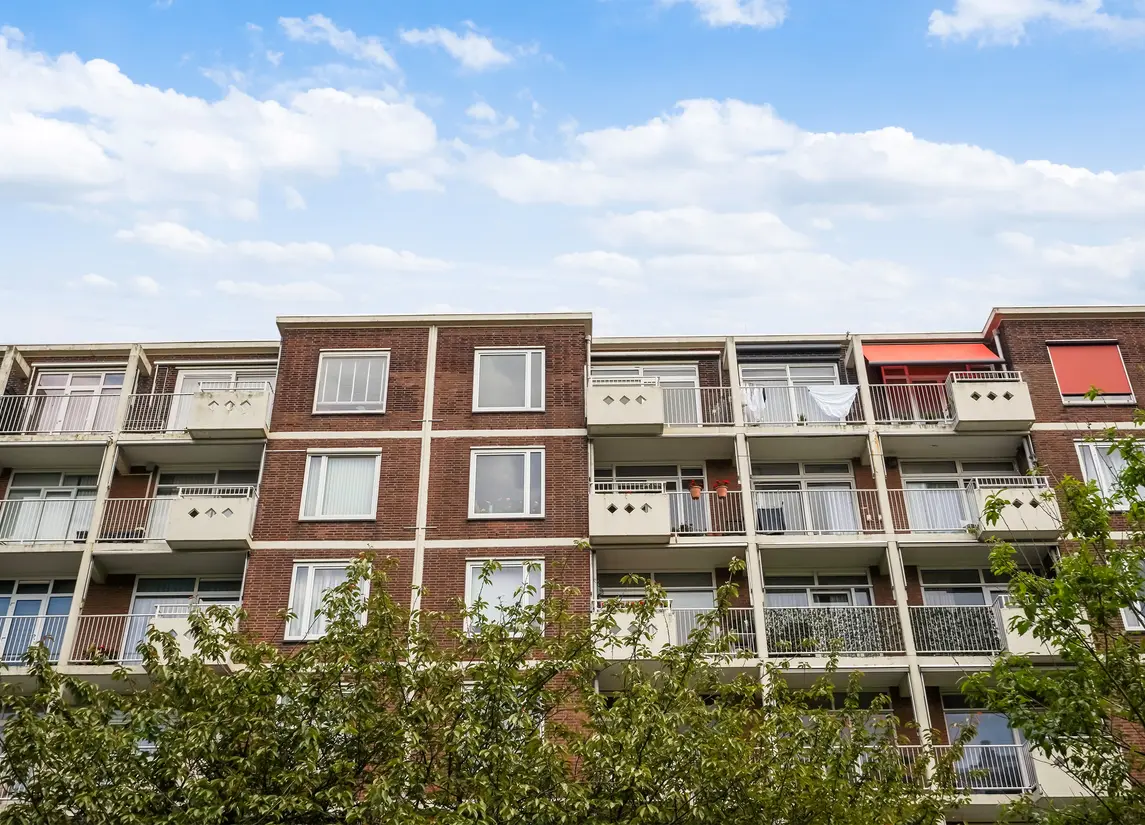 Ranonkelstraat 267
