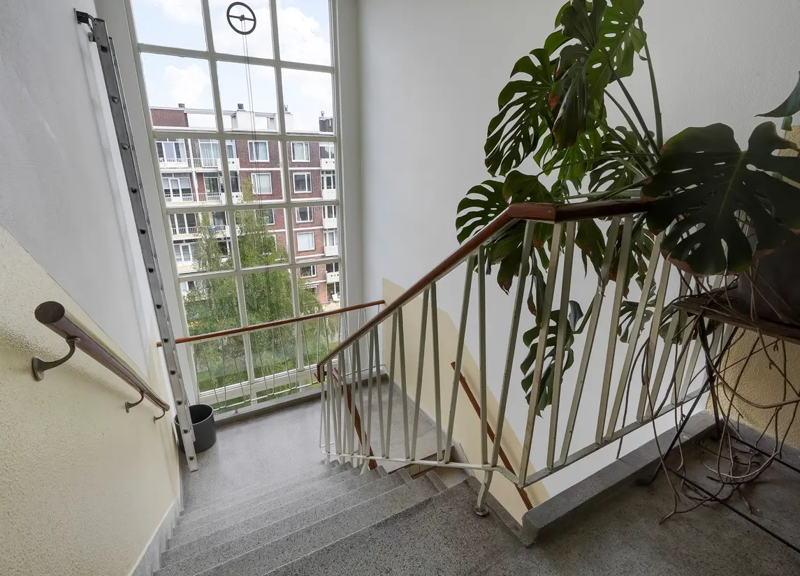Ranonkelstraat 267