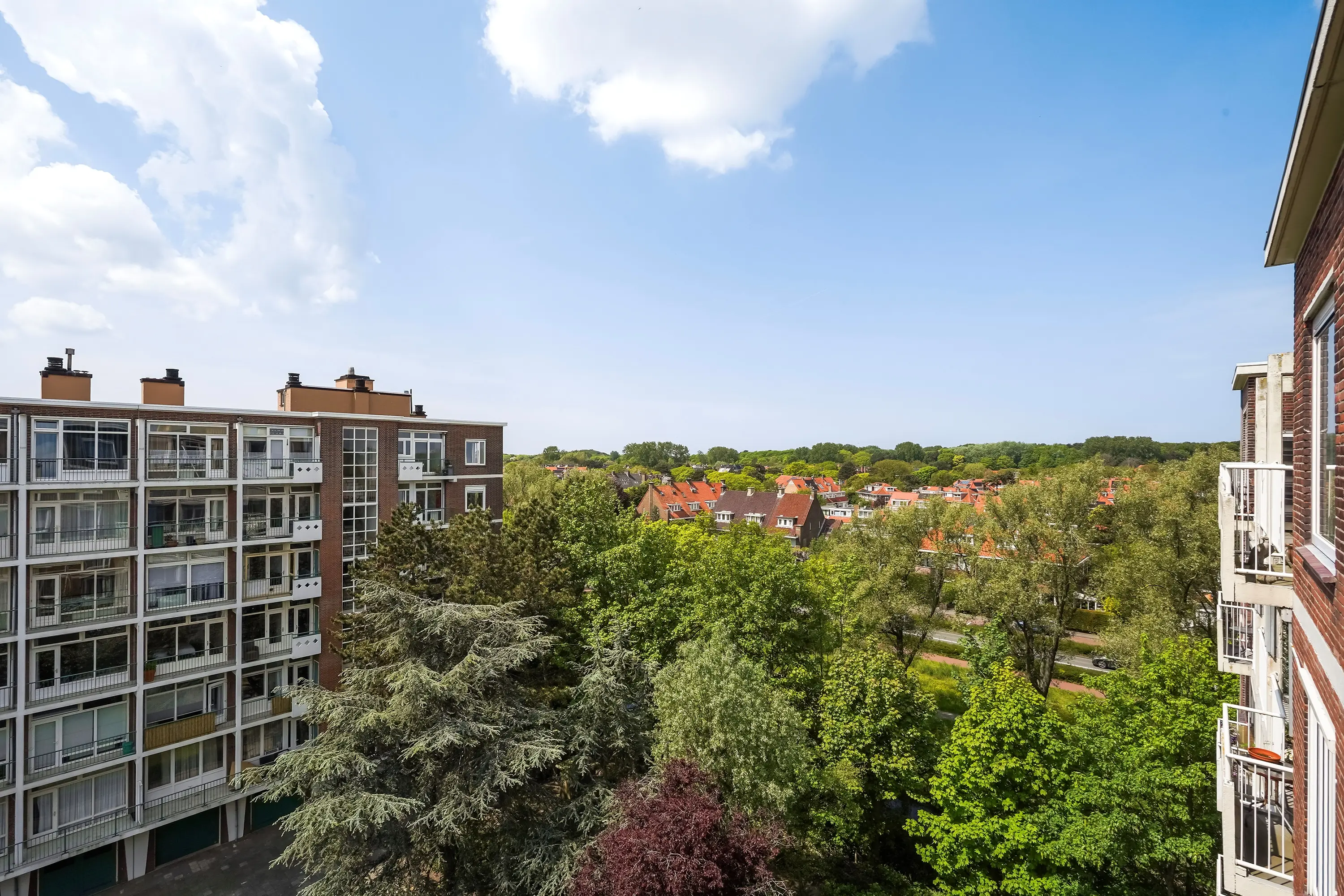 Ranonkelstraat 267