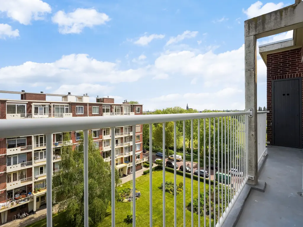 Ranonkelstraat 267, Den Haag