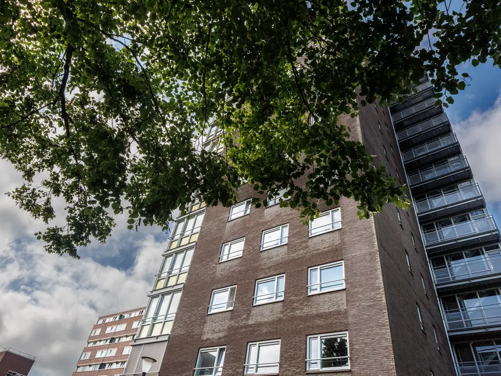 Laan Van Berendrecht 288, Leiderdorp