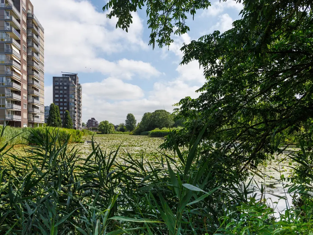 Laan Van Berendrecht 288, Leiderdorp