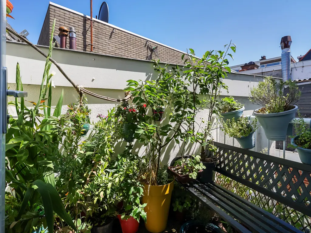 Regentesselaan 378, Den Haag