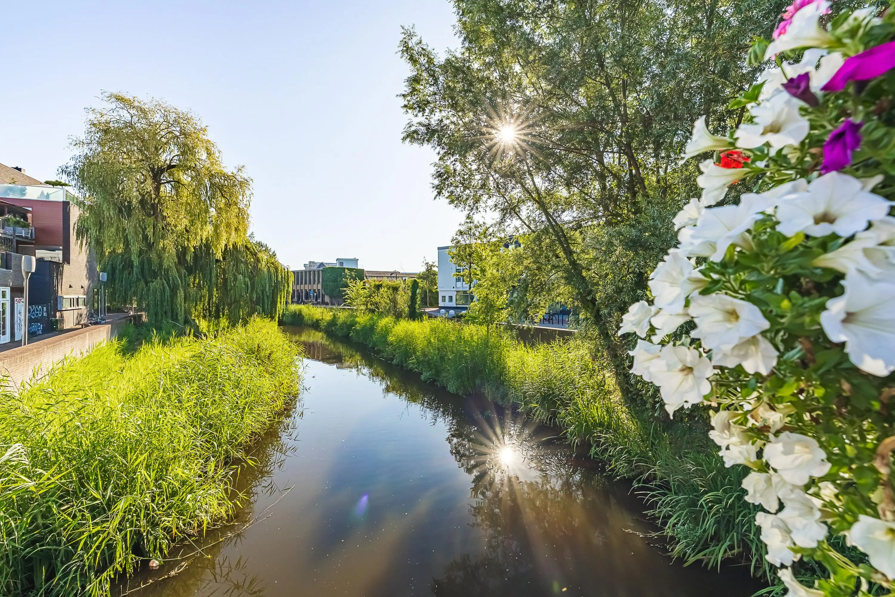 Bleekweg 21
