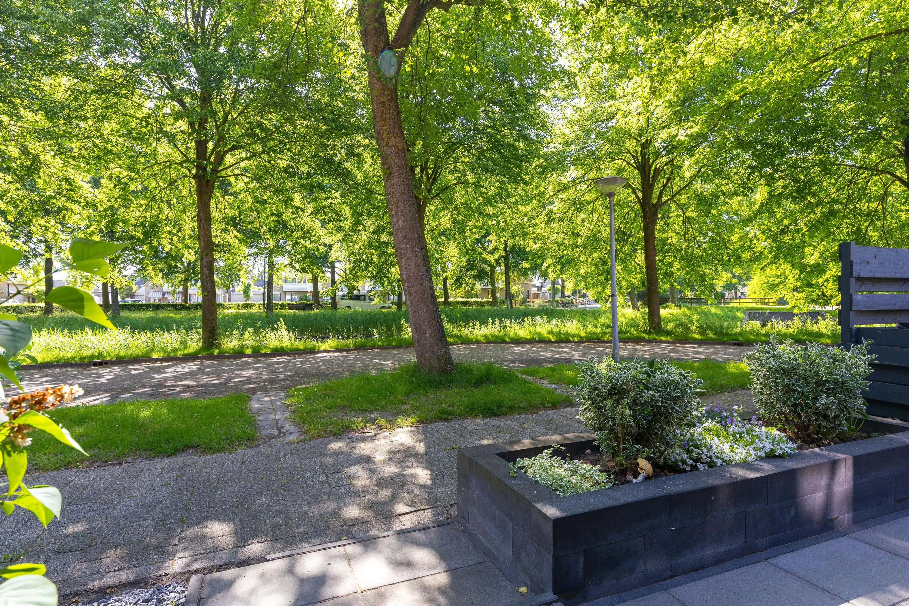 Patio 118