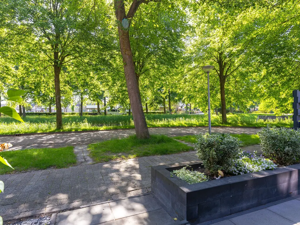 Patio 118, Hoorn