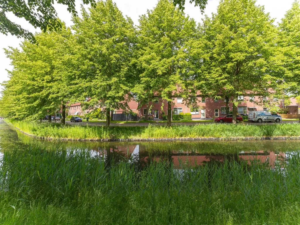 Patio 118, Hoorn