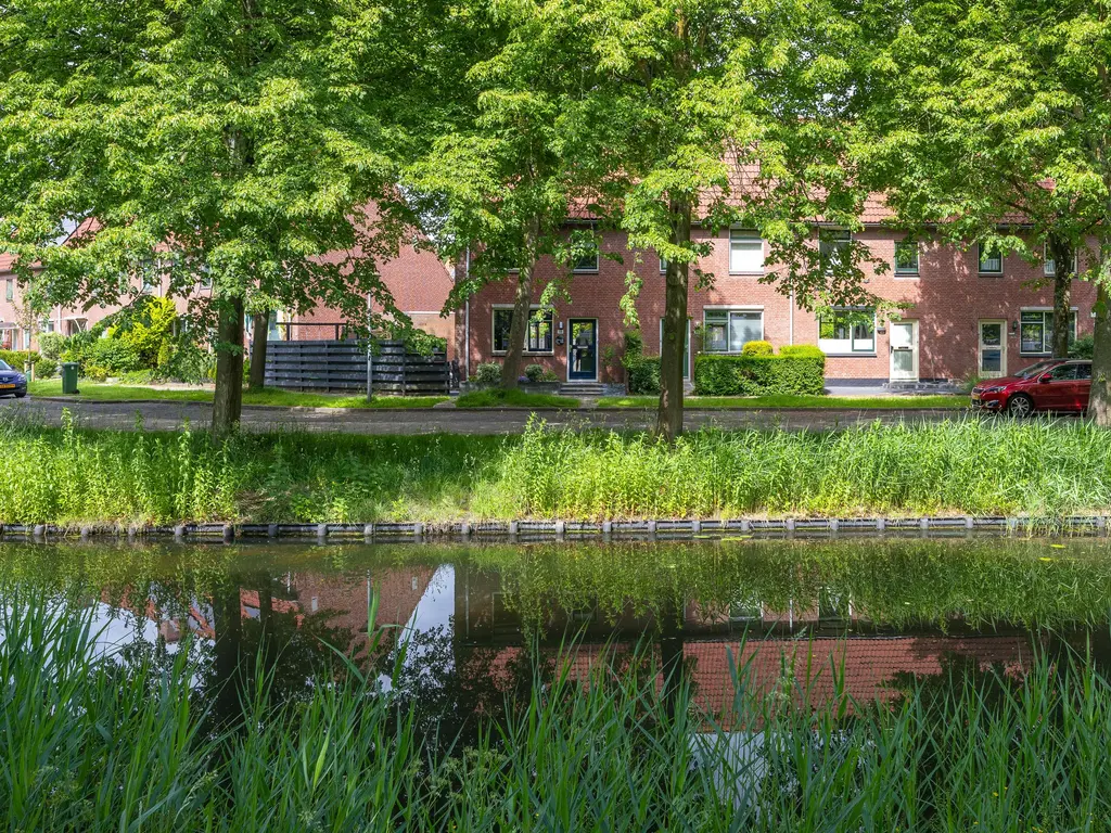 Patio 118, Hoorn