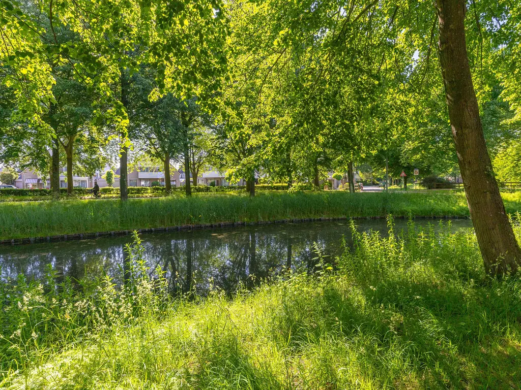 Patio 118, Hoorn