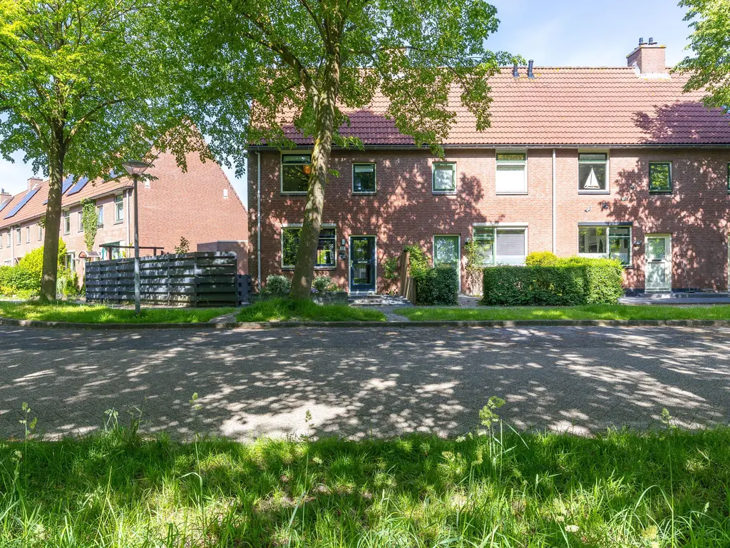 Patio 118, Hoorn