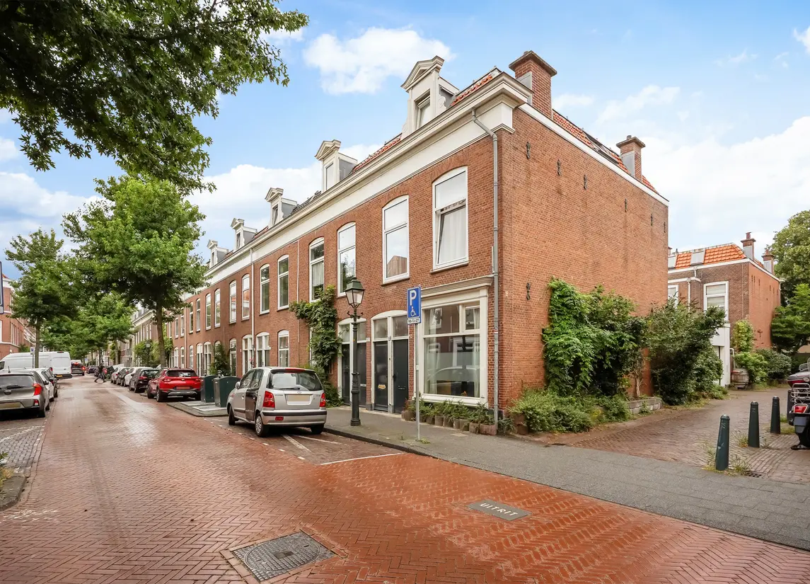 Newtonstraat 219