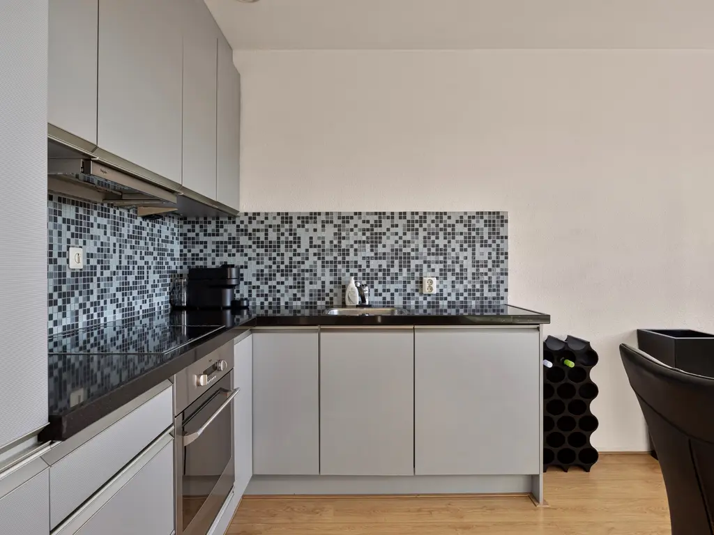 Parmentierweg 159, Leiden