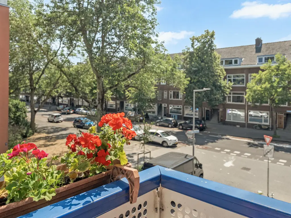 Doggerstraat 29B, ROTTERDAM