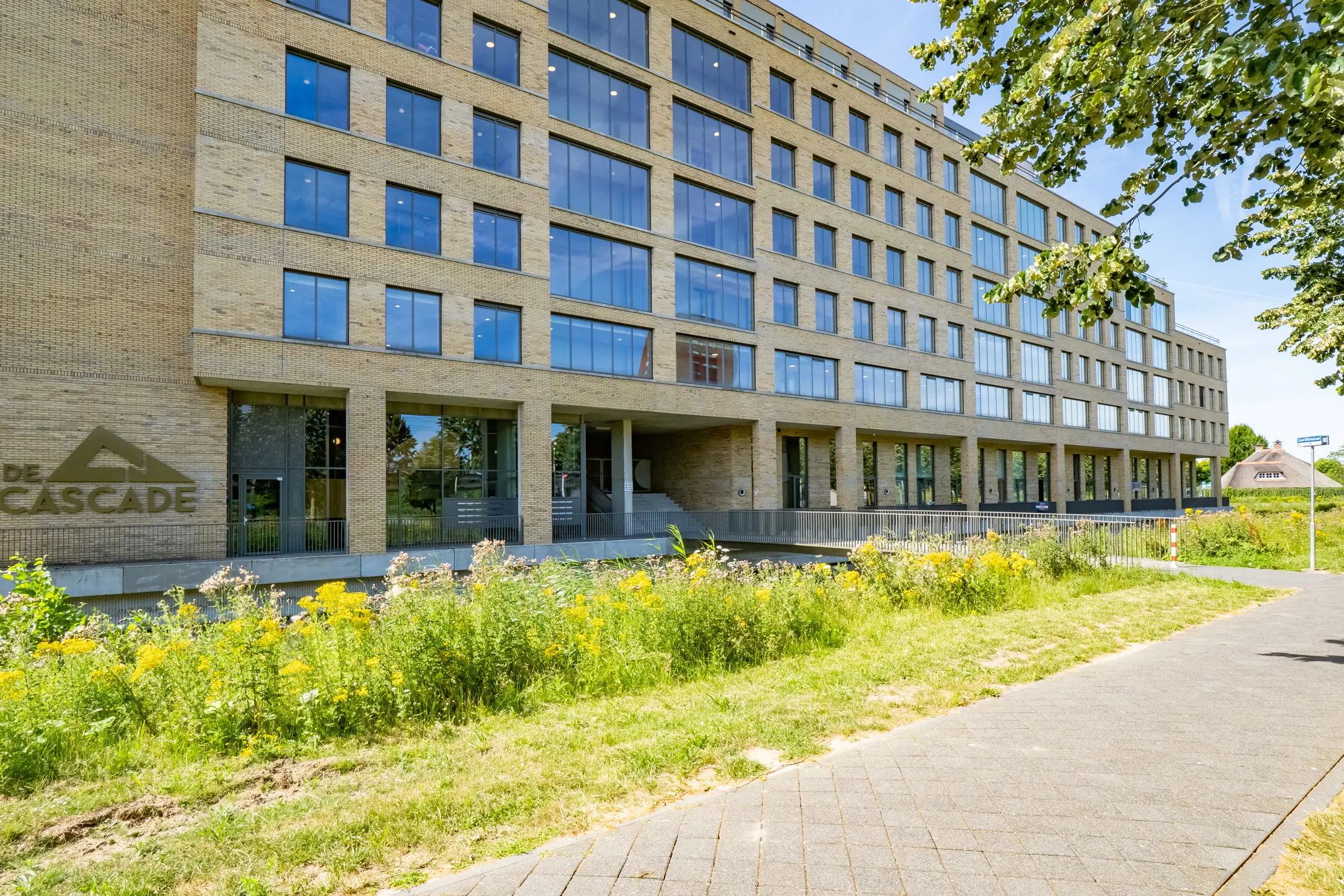 Carel Willinkstraat 50
