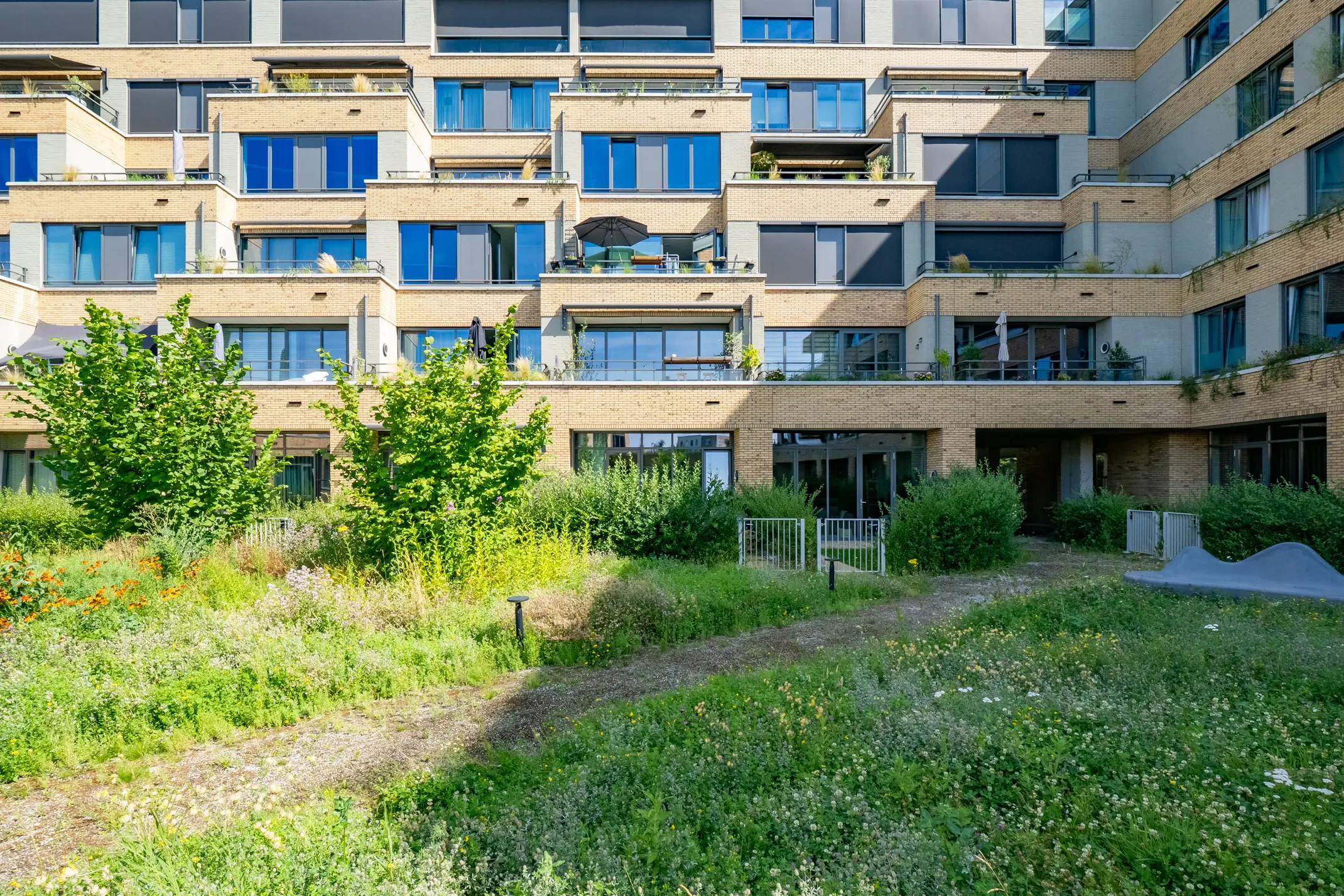 Carel Willinkstraat 50