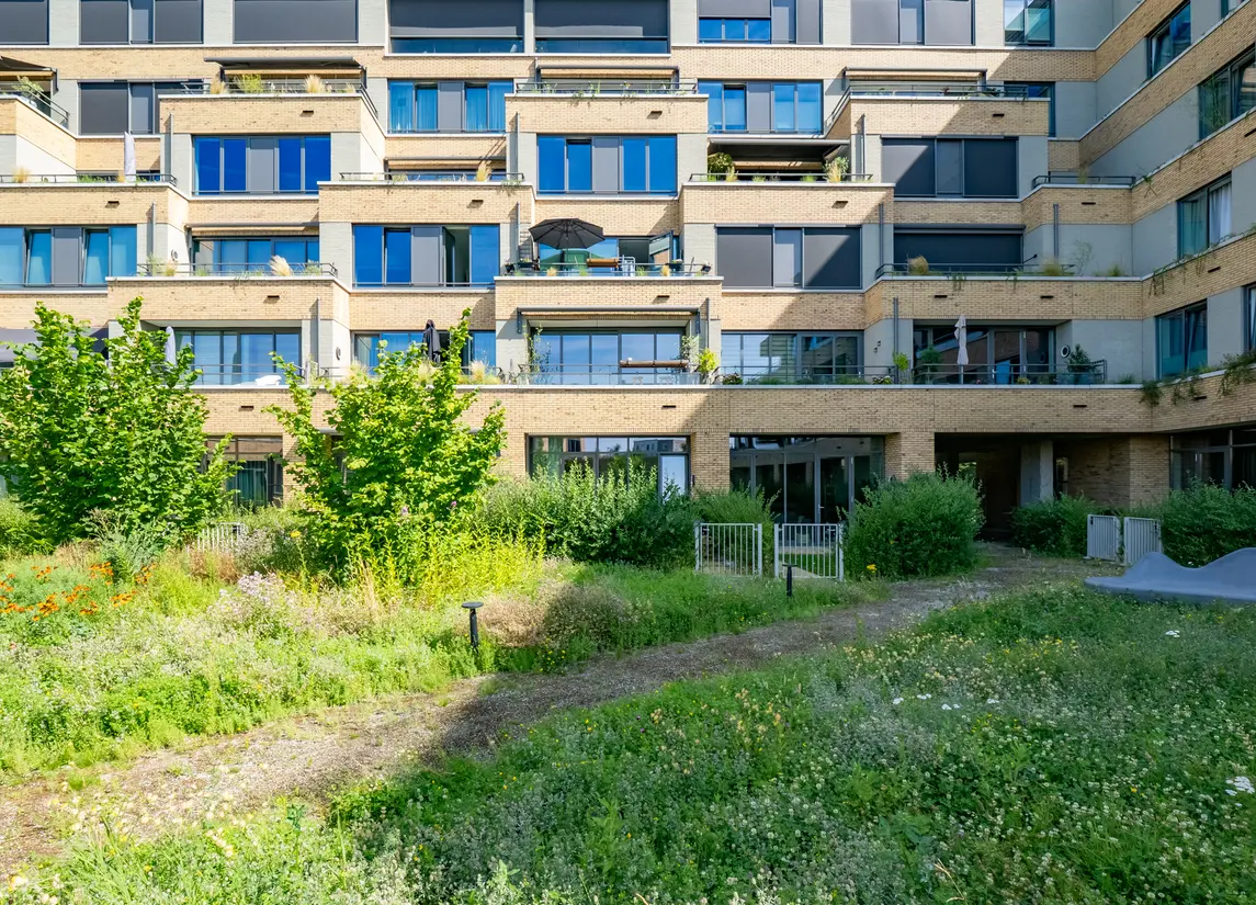 Carel Willinkstraat 50
