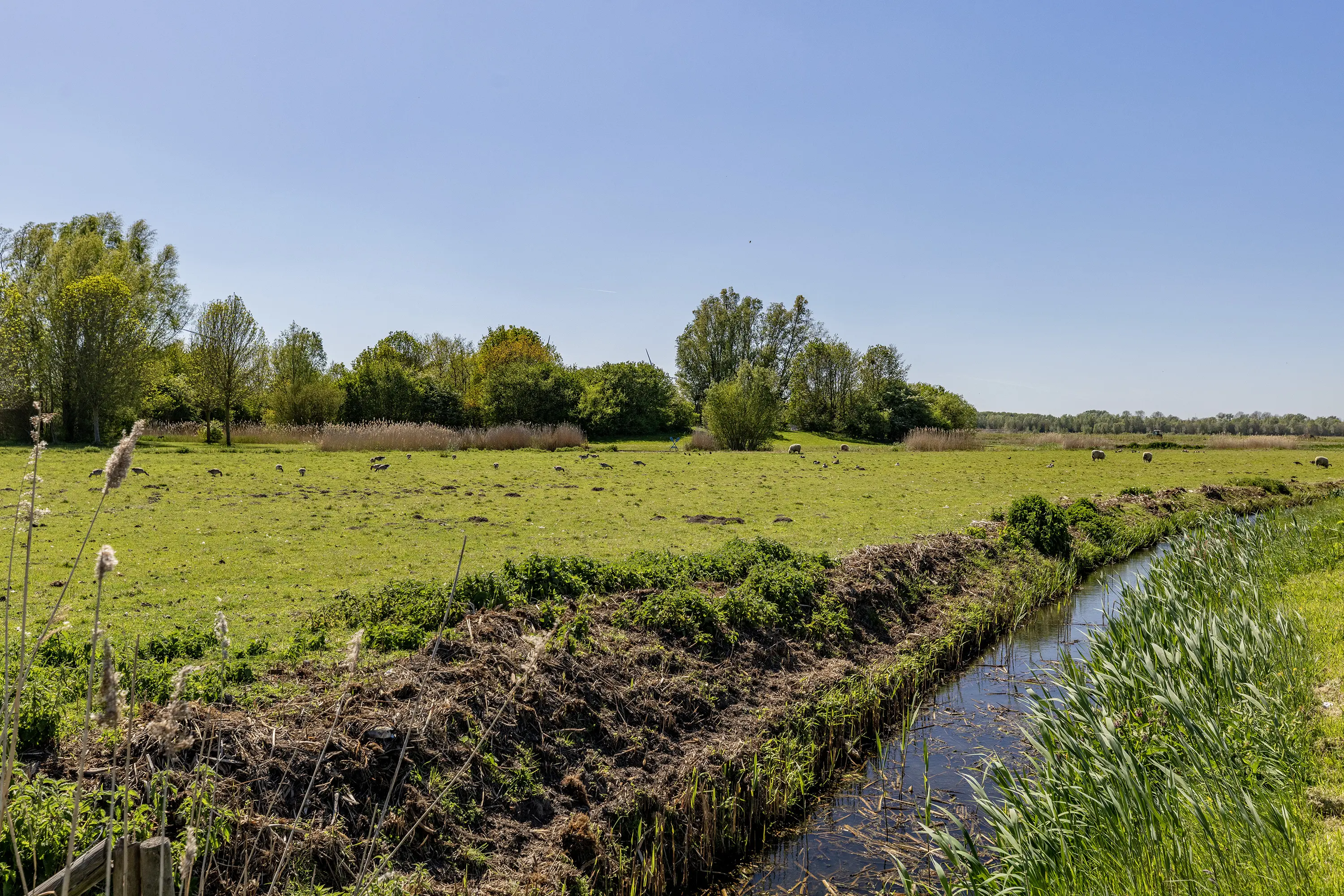 Wesdijkleede 35