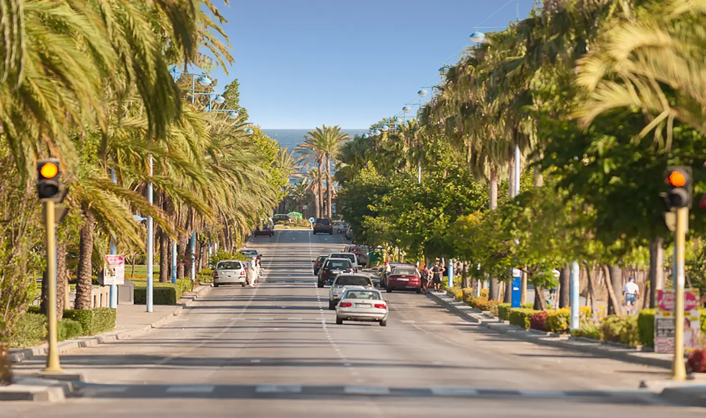 MARE - San Pedro Alcántara 