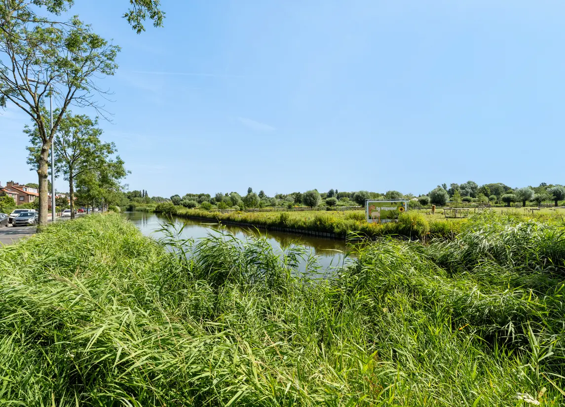 Ringdijk 74