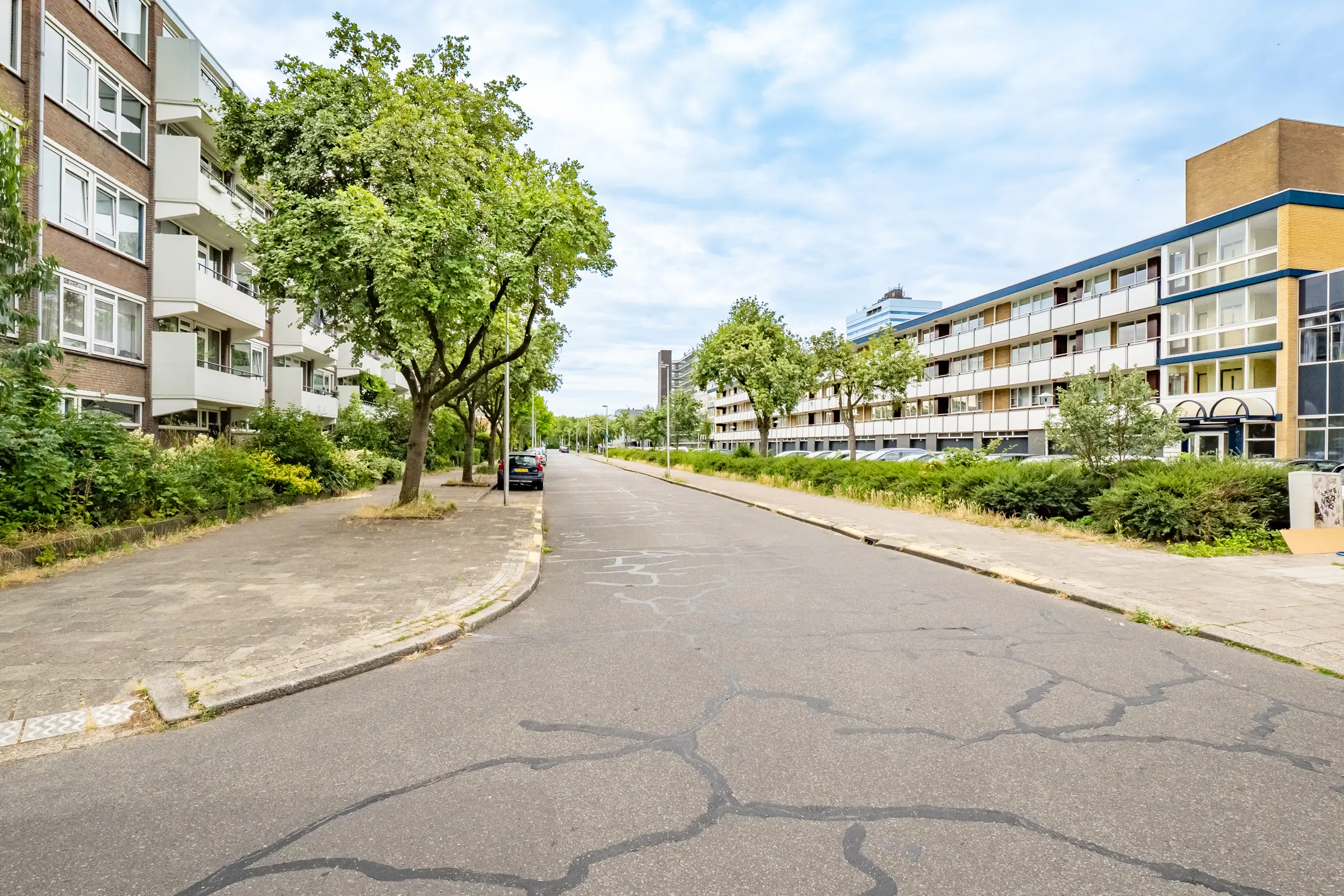 Van Vollenhovenlaan 239