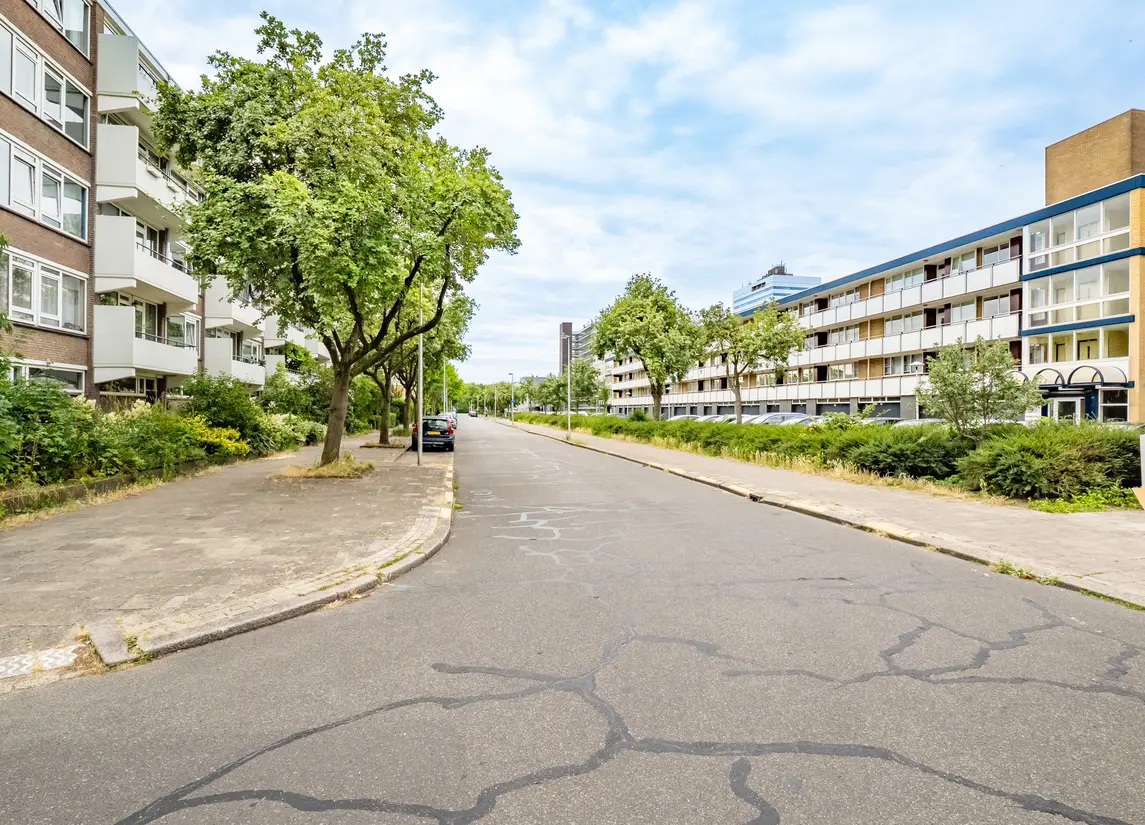 Van Vollenhovenlaan 239