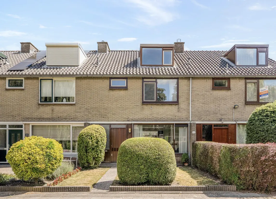 Korenbloem 29