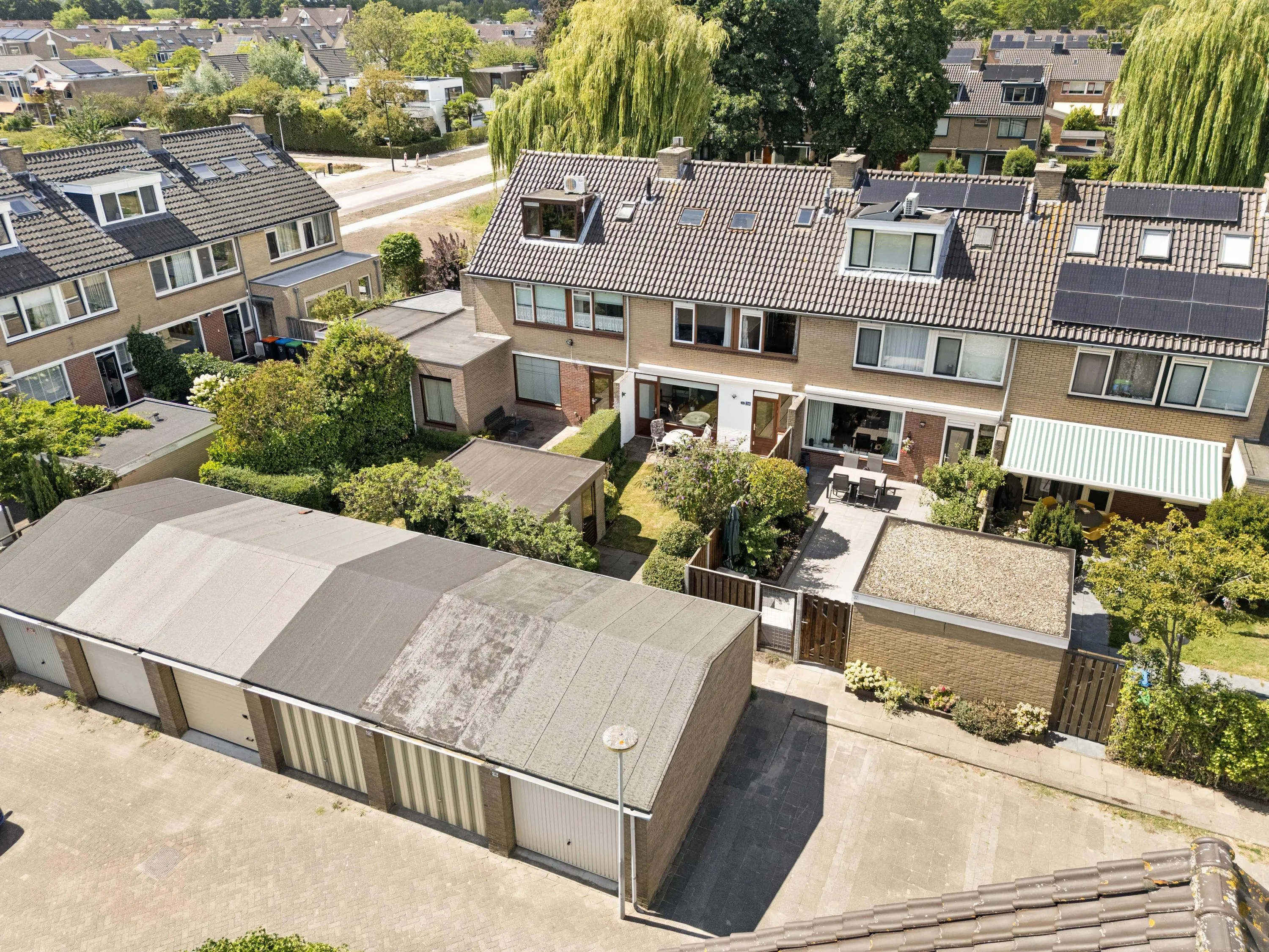 Korenbloem 29