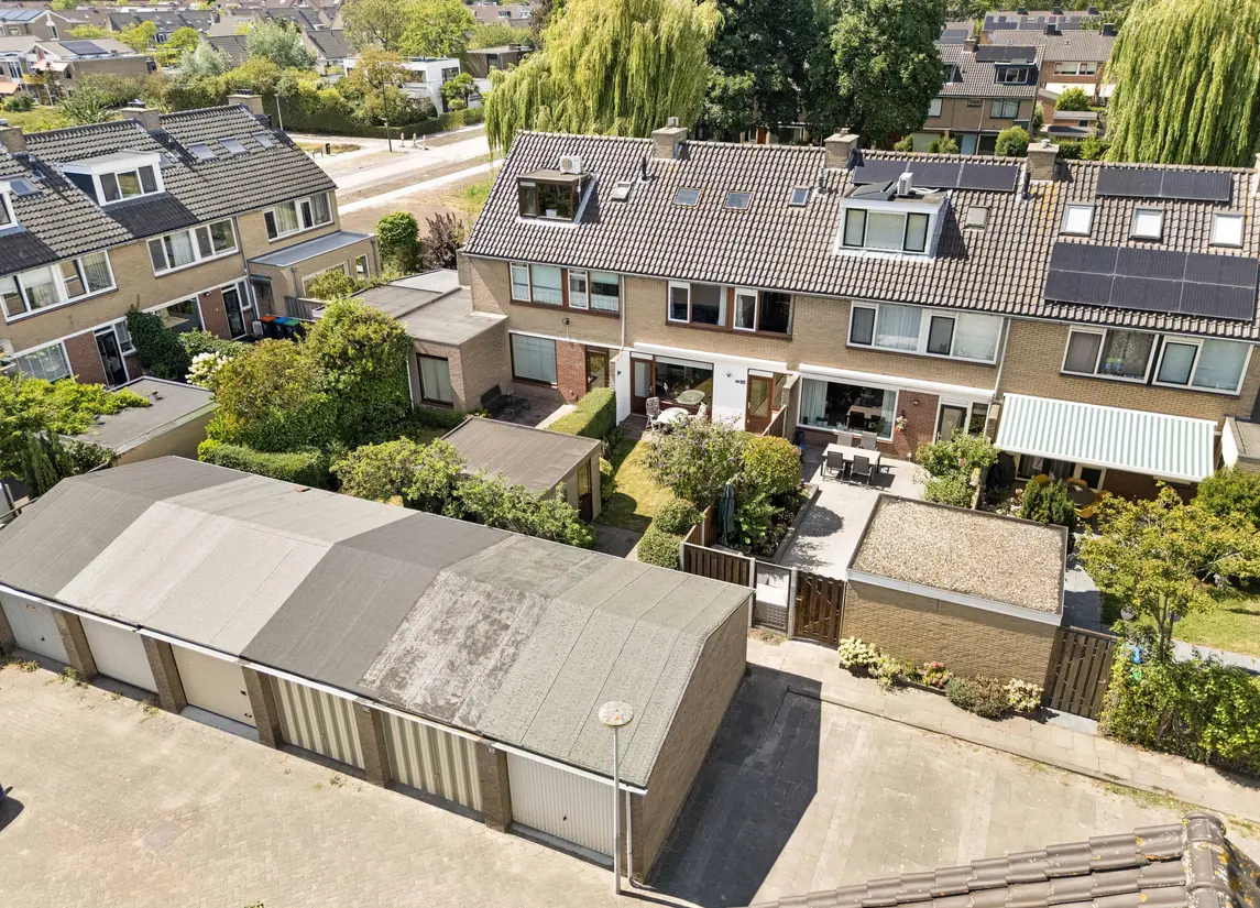 Korenbloem 29
