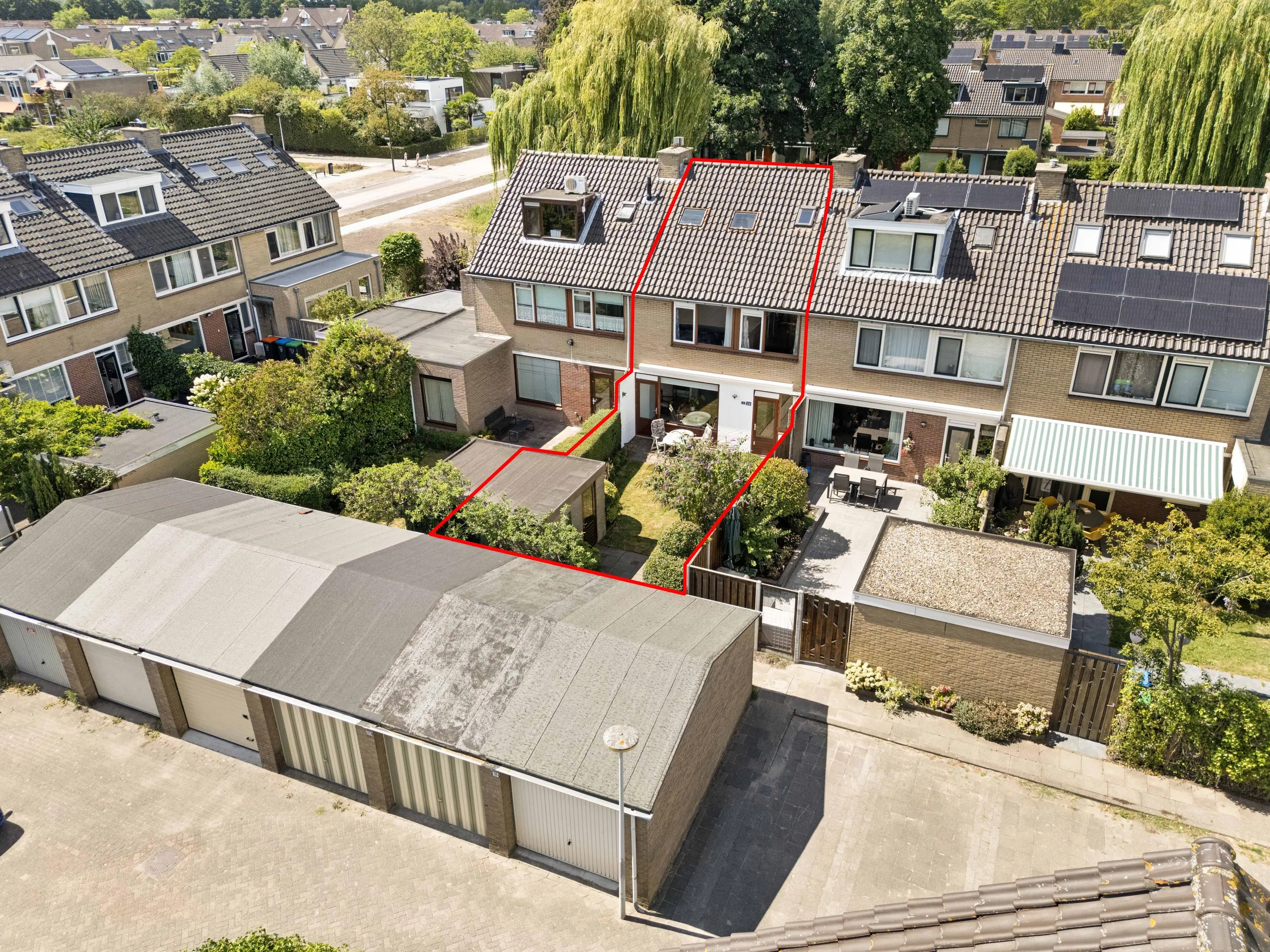 Korenbloem 29