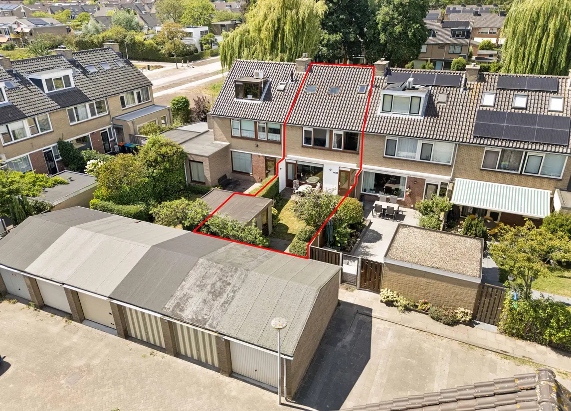 Korenbloem 29