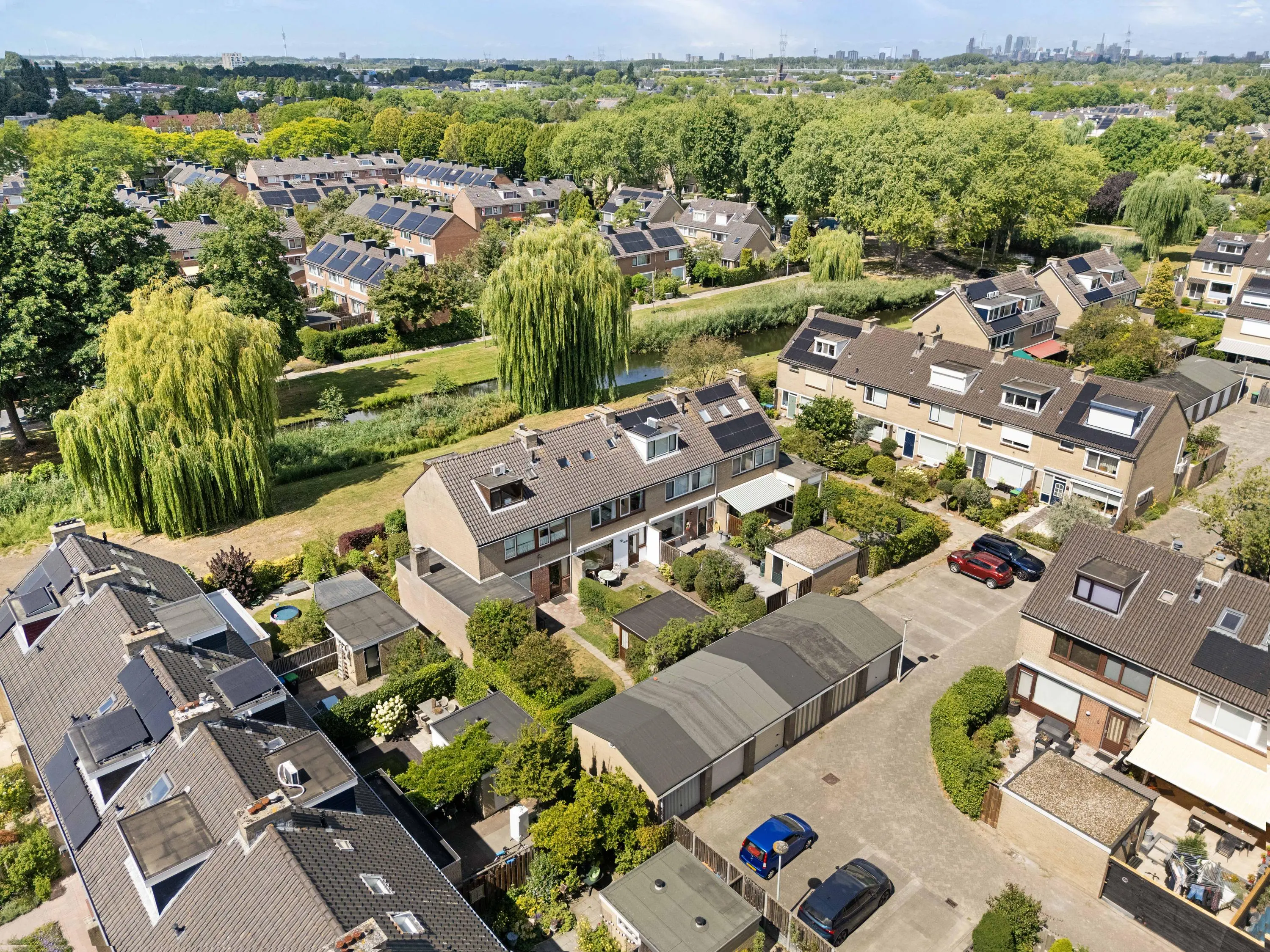 Korenbloem 29