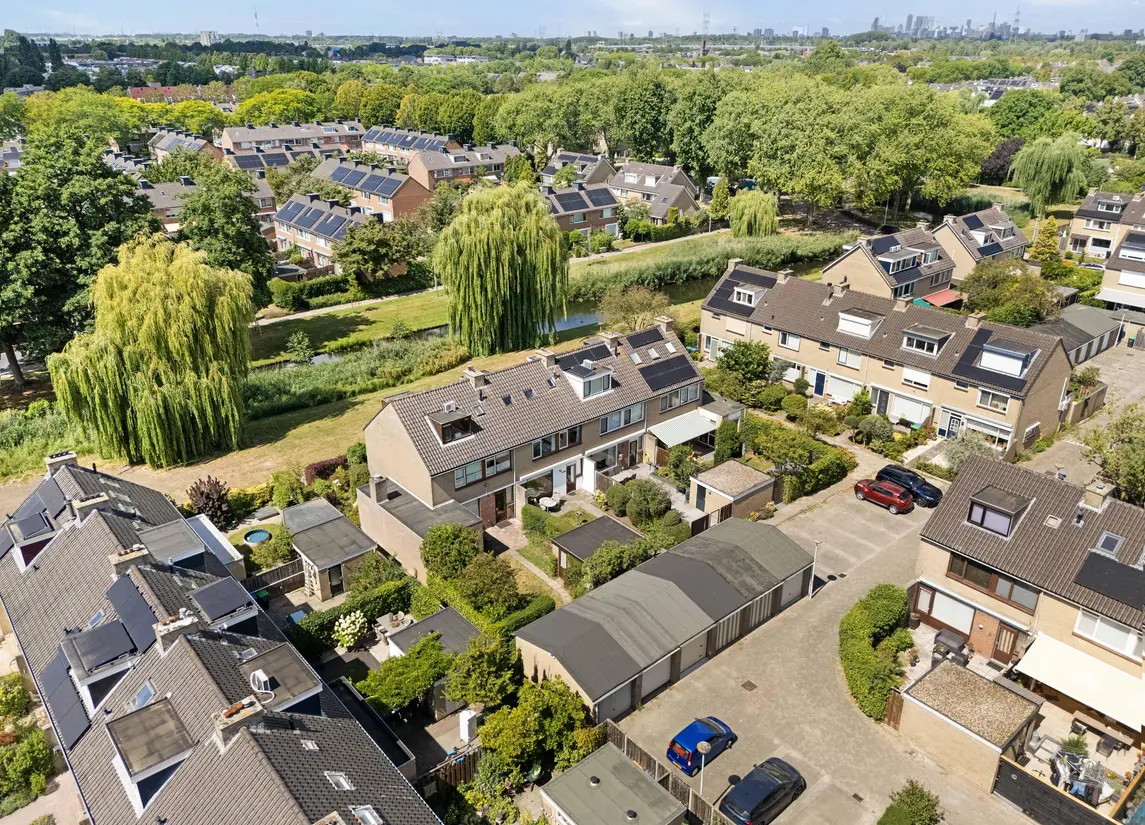 Korenbloem 29